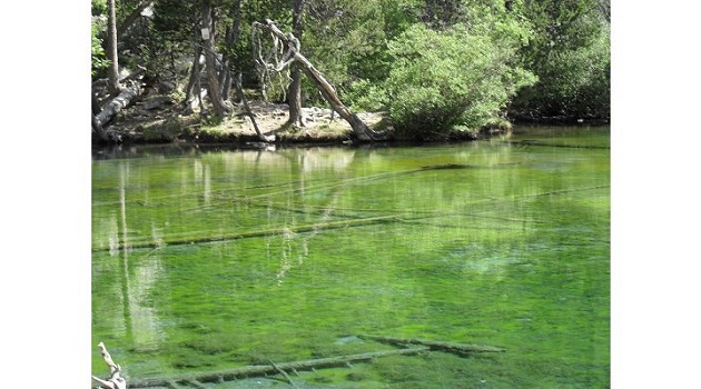 Lago verde Bardonecchia