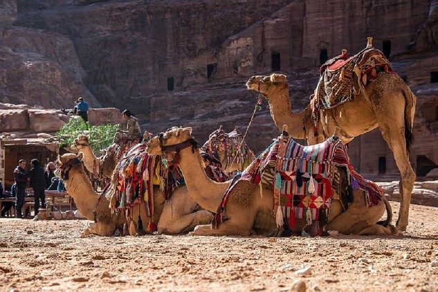 Giordania dalle meraviglie di Petra alle dune del Wadi Rum