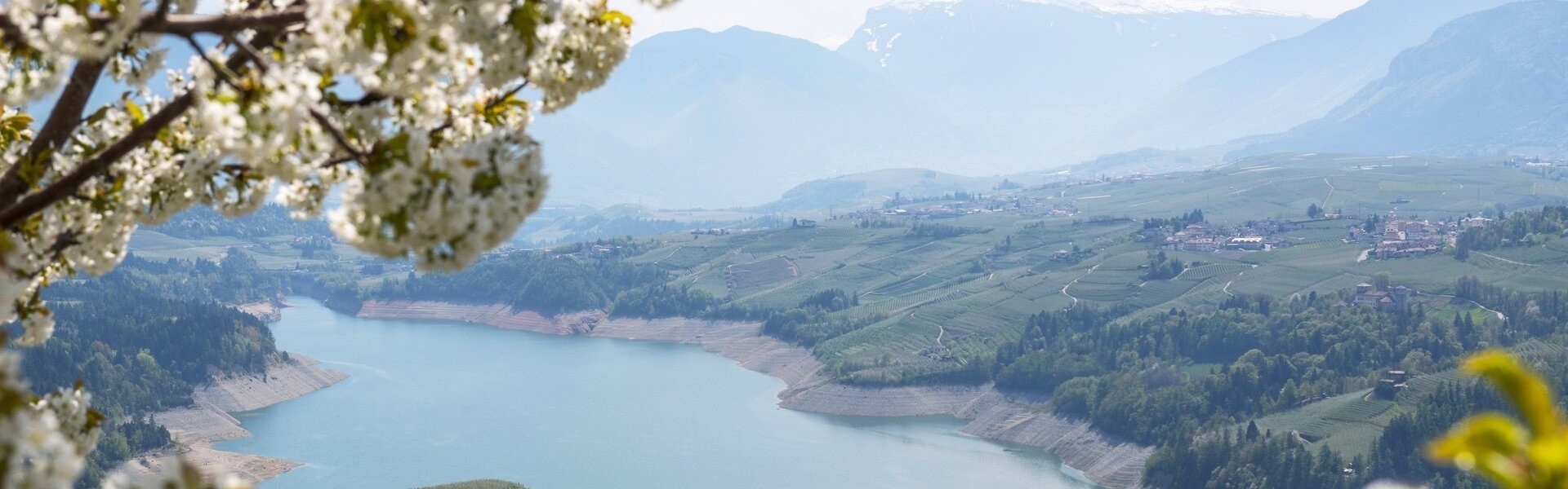 Weekend tra mele, castelli e sapori della Val di Non