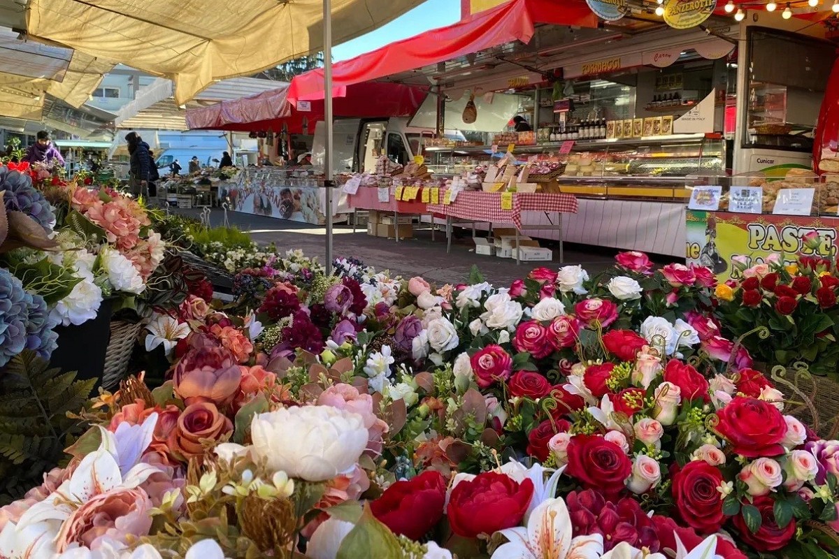 Canton Ticino: Mercato di Luino & castelli di Bellinzona