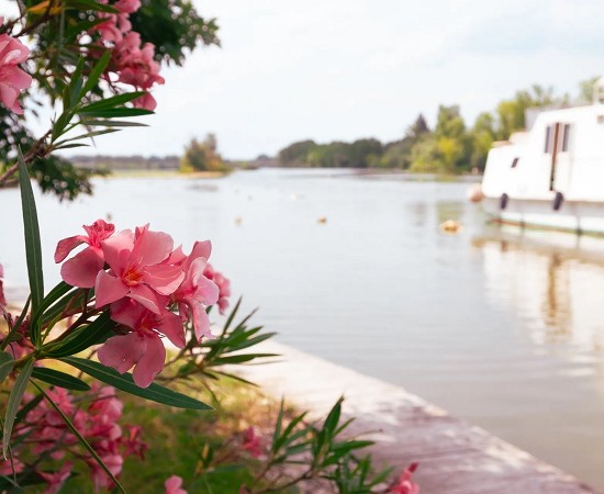 Magica Mantova: navigazione tra i fiori di loto