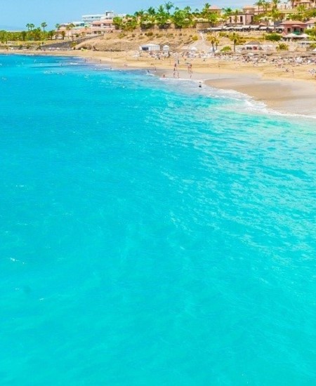 Tenerife l’Isola dell’Eterna Primavera